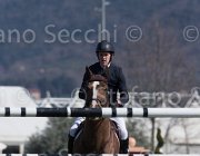 Clayton Mr Darcy TosTour2013- S5 2741 : Arezzo, Arezzo Equestrian Centre, Clayton Joseph, Mr Darcy, Toscana Tour 2013, foto di Stefano Secchi ©